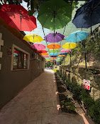 Efteni Değirmendere — fotoğraf 6