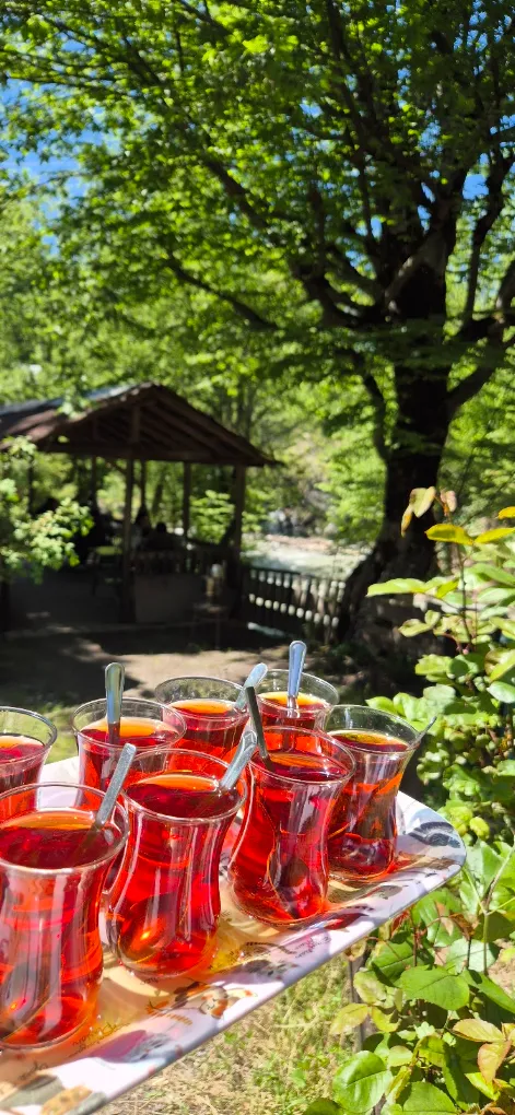 Şelale Yayla Evleri — fotoğraf 7