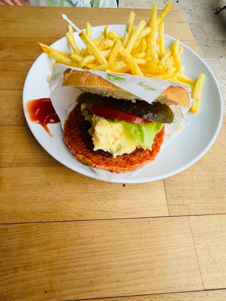 Serdar Burger — fotoğraf 2